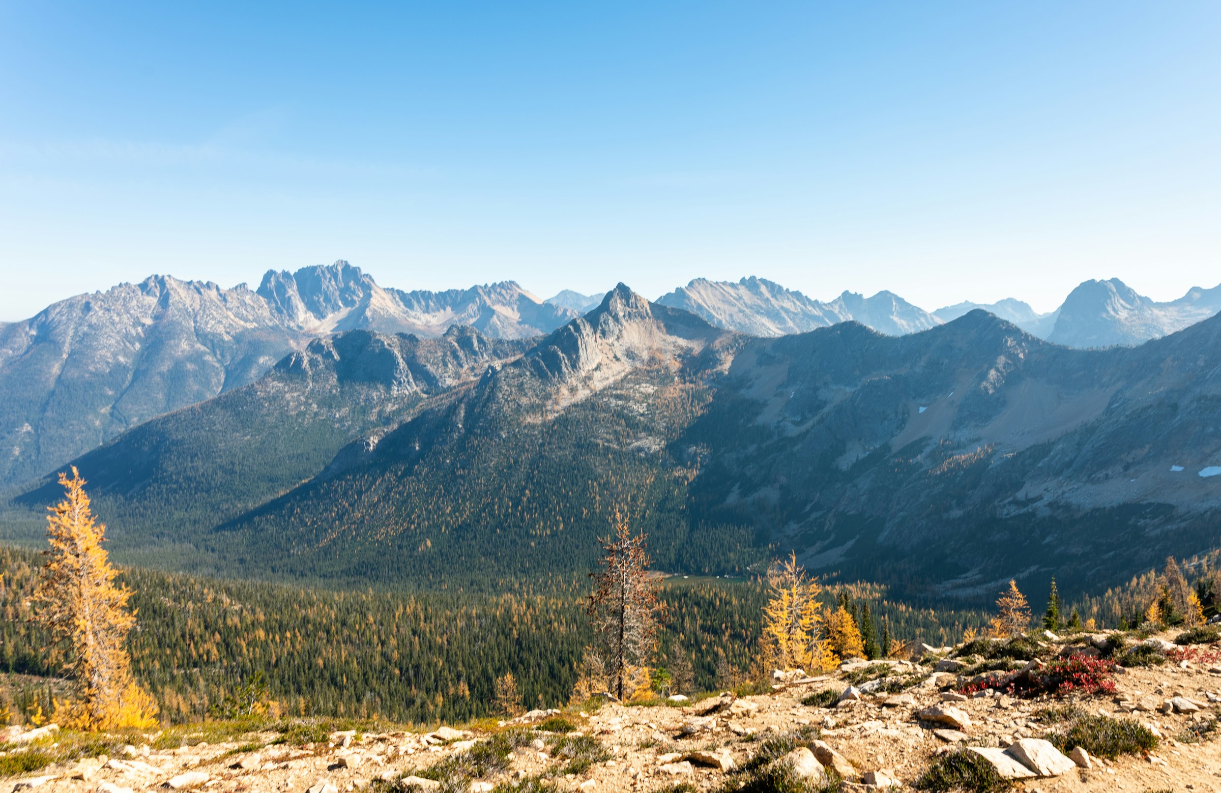 Golden larches below jagged peaks at Washington Pass